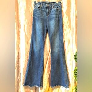 Y2K Old Navy (2009 - 2011) Flare Bottom Jeans